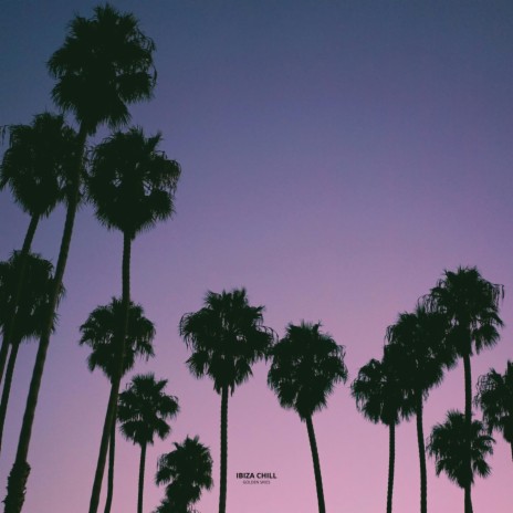 No Control ft. DJ Chill Del Mar & Belloq cover art