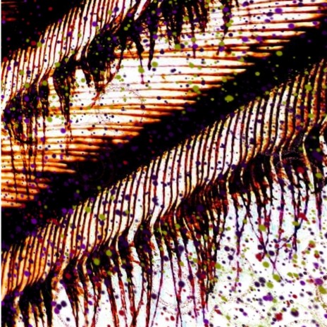 Mutiny cover art