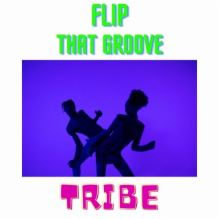 Flip That Groove