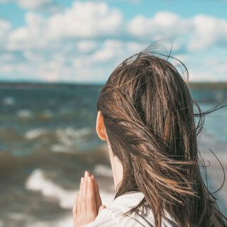 The Wind ft. Nature Sounds Artists & Bird Sounds cover art