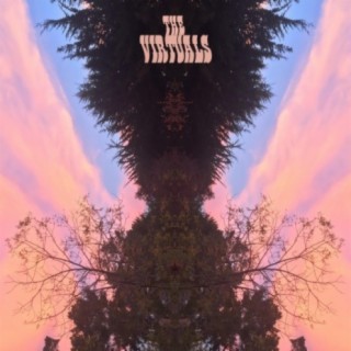 The Virtuals