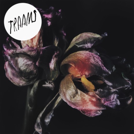 Ladders cover art