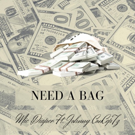 Need a Bag ft. Johnny ConCepTz cover art