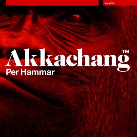 Akkachang (Himan Remix) cover art