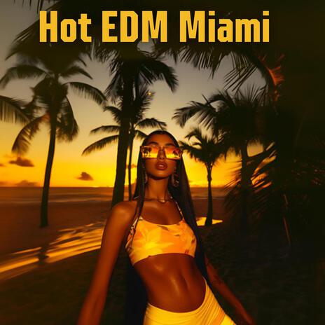 Sunshine Groove ft. Melodic House Machine & Malibu Chill Out Zone cover art