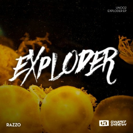 Floppy (Original Mix) cover art