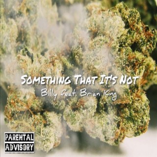 Something That It's Not ft. Brain King cover art
