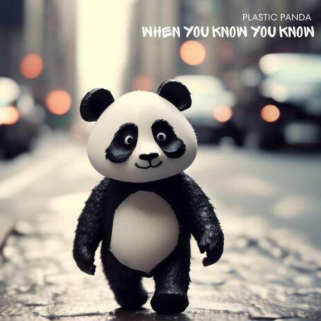 WHEN YOU KNOW YOU KNKOW (12 inch vinyl original mix) cover art