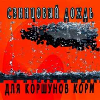 Свинцовый Дождь