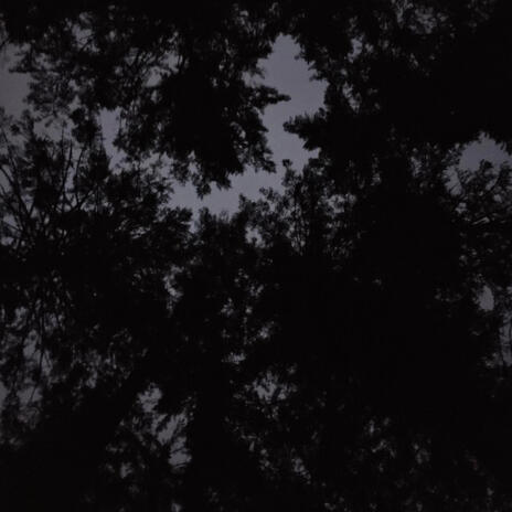 livinlikethis cover art