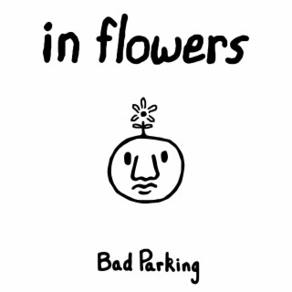 Bad Parking