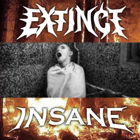 INSANE cover art