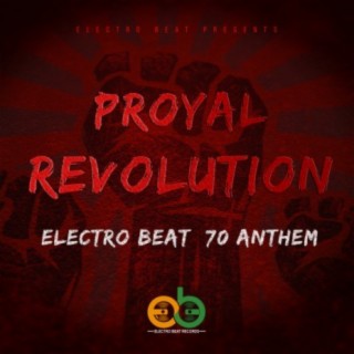 Revolution (Electro BEAT 70 Anthem) (Original Mix) cover art