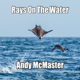Rays On The Water