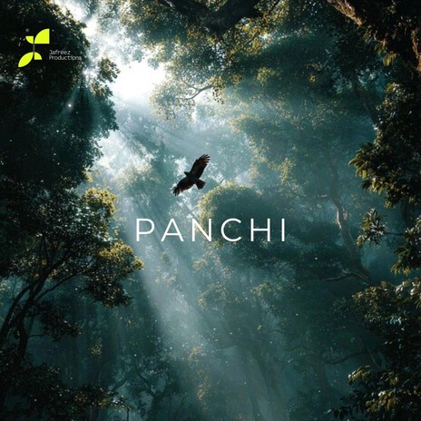 Panchi ft. Kumail Jafri cover art