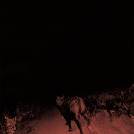 Doe-Eyed Girl cover art