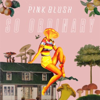 So Ordinary