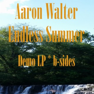 Endless Summer