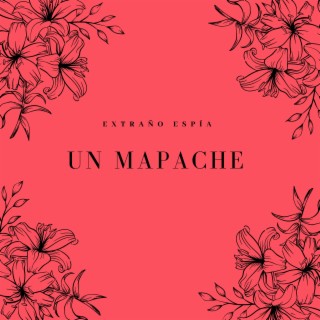 Un Mapache