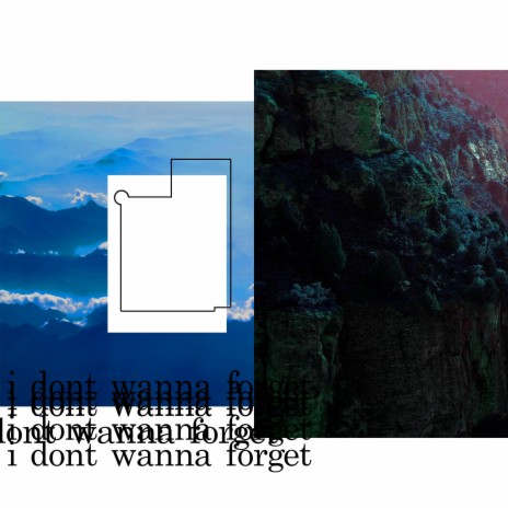 i dont wanna forget