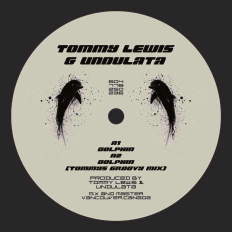 Dolphin (Tommy's Groovy Mix) ft. Undulata cover art