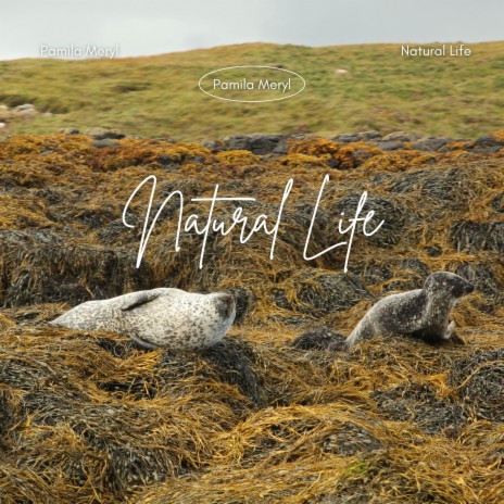 Natural Life