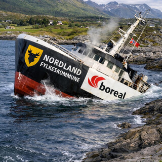 Northern Viking