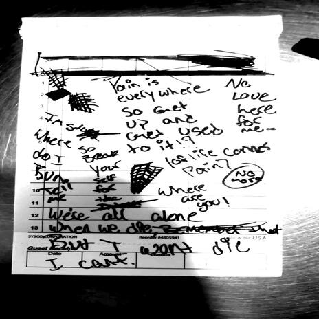 the skin upon my wrist, it's my voice in her head now cover art