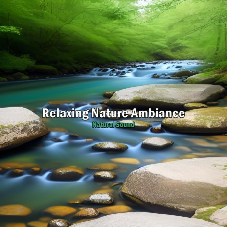 Relaxing Nature Ambiance, Pt. 8