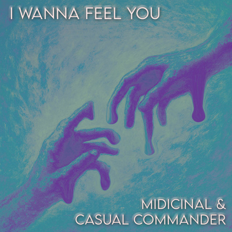 I Wanna Feel You ft. Casual Commander cover art
