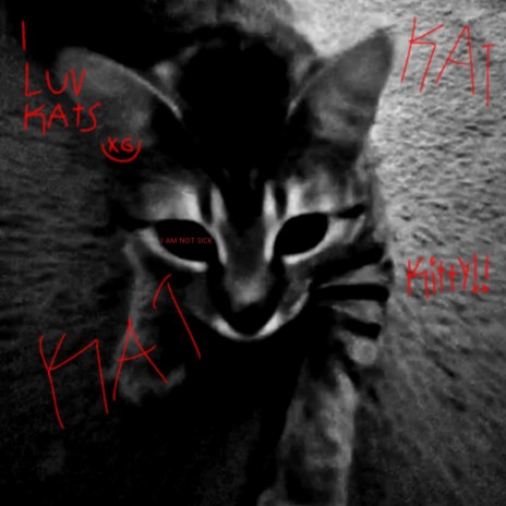 IM NOT SICK I JUST NEED A FUCKING CAT cover art