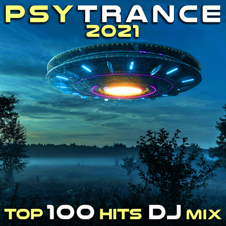 Capture The Moment (PsyTrance 2021 Top 100 Hits DJ Mixed)