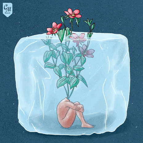 Never Mind the Snow cover art