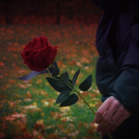 Inaczej Nie Zasnę cover art