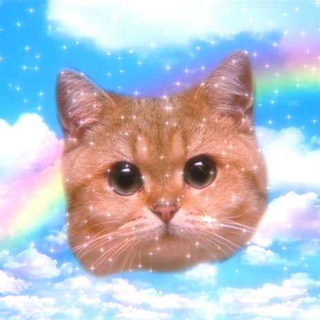 CAT DAD ANTHEM cover art