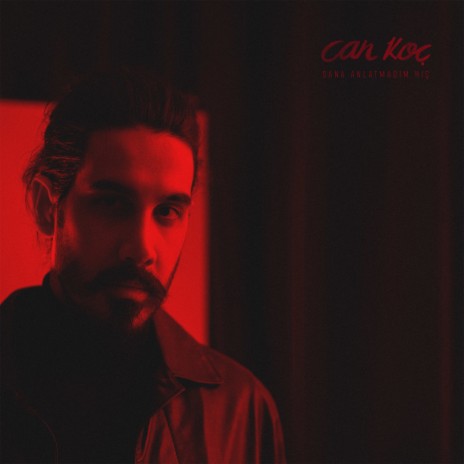 Sana Anlatmadım Hiç cover art