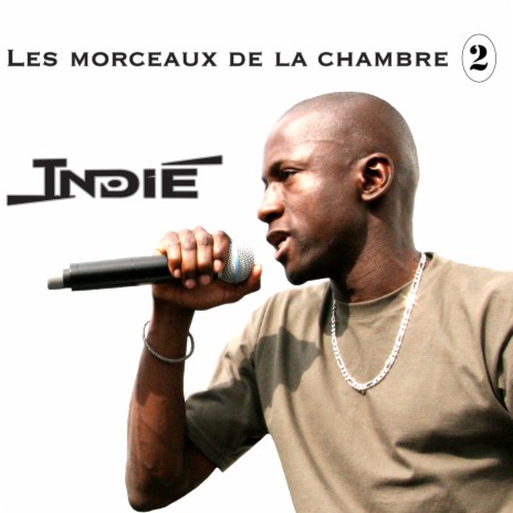 Le précieux cover art