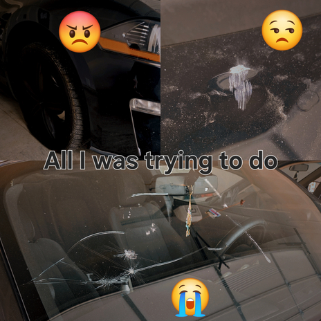 All I Was Trying To Do (V2) cover art