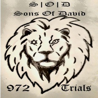 Sons of David