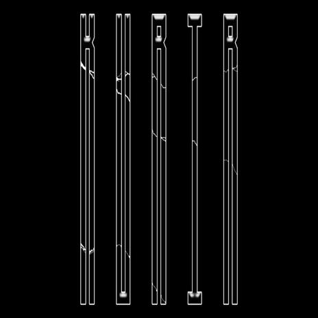 THE FRENZY cover art