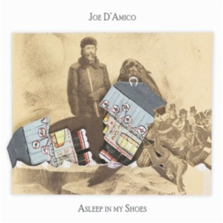 Joe D'Amico
