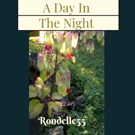 A Day in the Night cover art