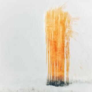 The Experiment - Vol I: Nolan's Tea