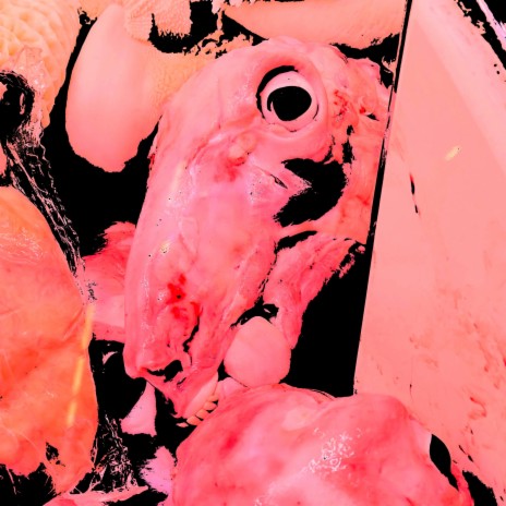 FNP90 cover art