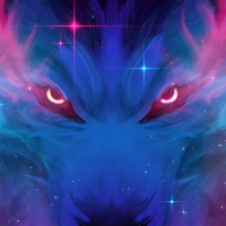 Echo 11