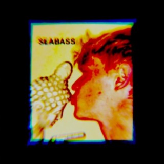 Seabass cover art