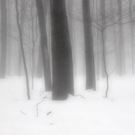 Winter cover art