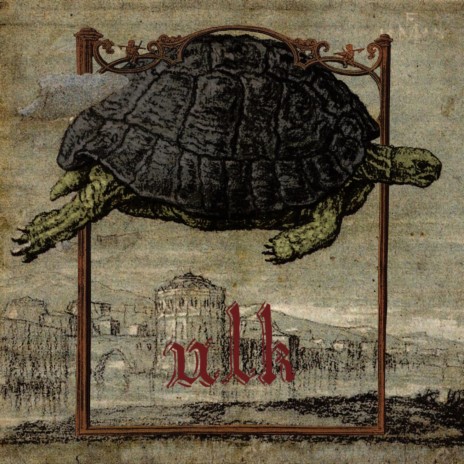 Tortoise IV