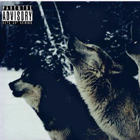 Jamacia ft. Tenshi Lij cover art