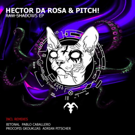 Raw Shadows (Pablo Caballero remix) ft. Pitch! cover art